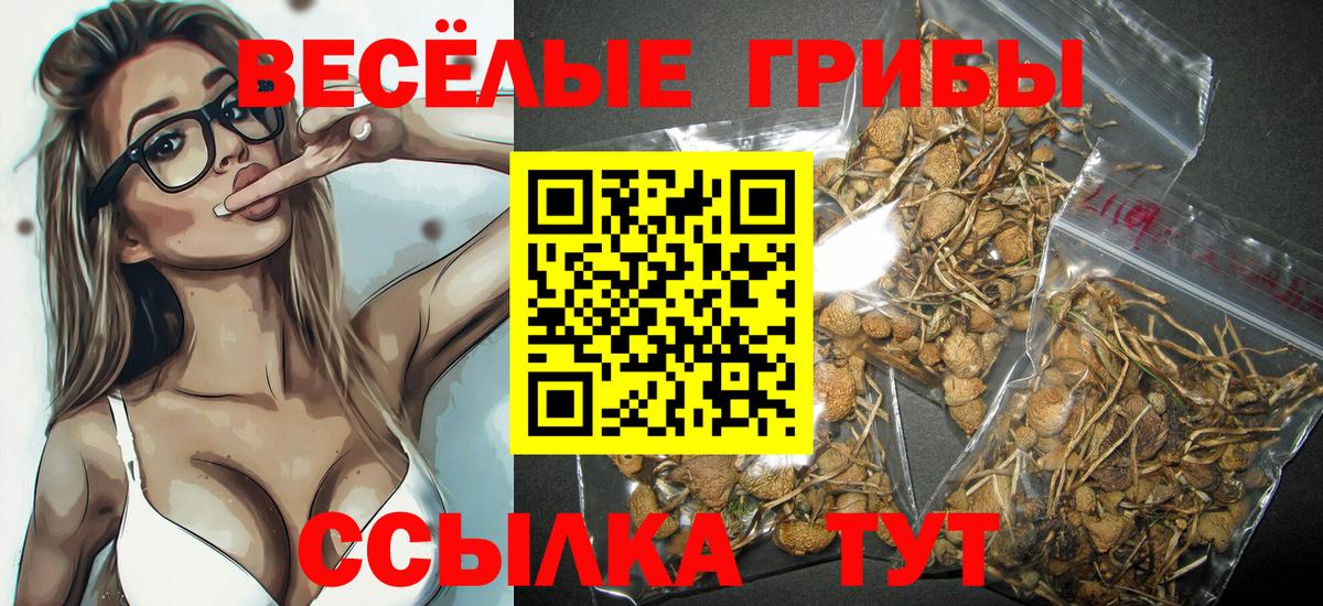 Самара  магазин    Вход с VPN  Псилоцибиновые грибы MAGIC MUSHROOMS  Галлюциногенные грибы мицелий 