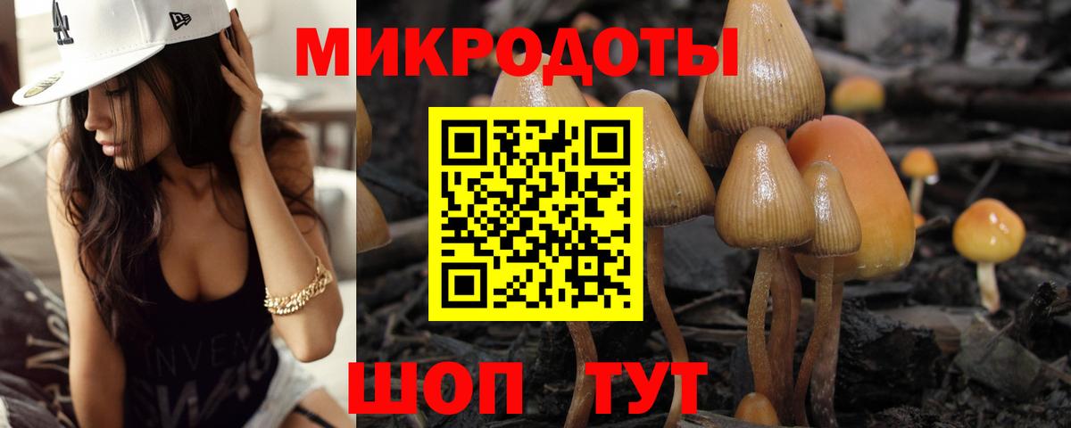 Галлюциногенные грибы мицелий Самара